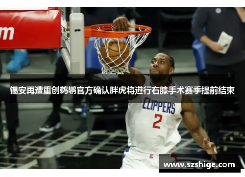 锡安再遭重创鹈鹕官方确认胖虎将进行右膝手术赛季提前结束